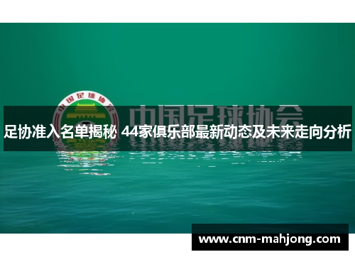 足协准入名单揭秘 44家俱乐部最新动态及未来走向分析 足协准入名单揭秘 44家俱乐部最新动态及未来走向分析
